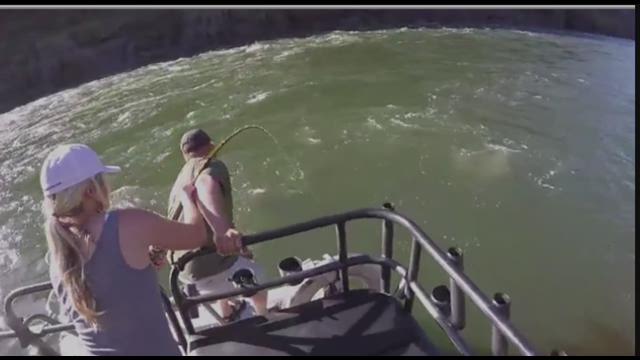 Local woman catches 9 foot sturgeon04-13-2016