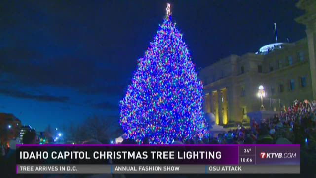 article preview image