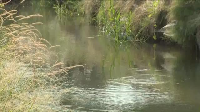 Coroner releases identity of man found dead in canal | ktvb.com